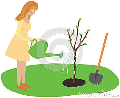 The girl planted a tree and watered from a sprinkler. Vector Illustration