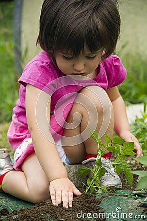 Girl planting seedling Stock Photo