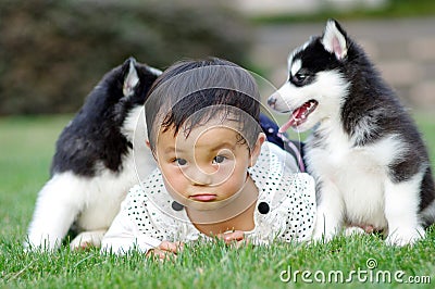 Girl play with puppy Stock Photo