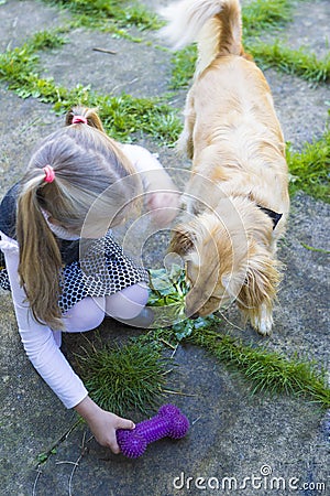 Girl playing with a dog Stock Photo