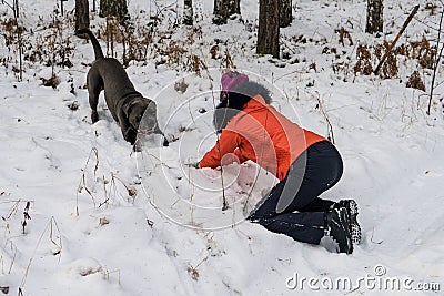 Girl playing with a dog in forest Editorial Stock Photo