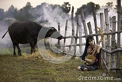 Girl playing music in a buffalo rice field. Rural women playing mandolin guitar at countryside in Asia Stock Photo