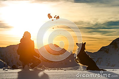 Girl plays with border collie Stock Photo