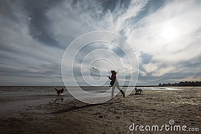 A girl plays with her dogs on the beach Stock Photo