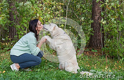 Girl pleasing a golden retriever dog in the park. Man`s best friend. Love for a pet Stock Photo