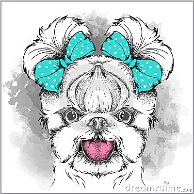 Girl puppy with cute bows. Yorkshire Terrier. Vector illustration Vector Illustration