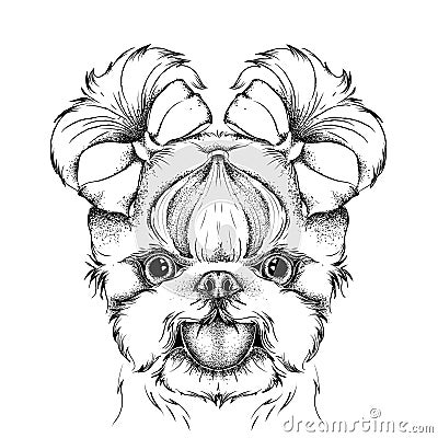 Girl puppy with cute bows. Yorkshire Terrier. Vector illustration Vector Illustration