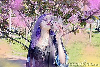 A girl with purple hair in a kimono stands under a sakura Stock Photo