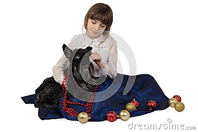 Girl putting Christmas decorations on a dog, Miniature Schnauzer Stock Photo