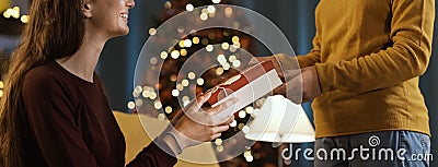 Girl receiving a Christmas gift from her mother Stock Photo