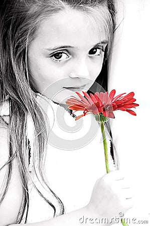 Girl with Red Gerber Daisy Stock Photo