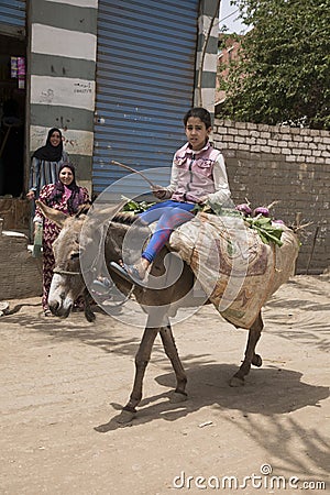 A girl rides a donkey Traditional Egyptian village near Cairo Editorial Stock Photo