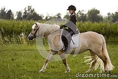 Girl rides to Horse Stock Photo