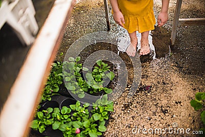 Girl`s bare feet in a puddle Stock Photo