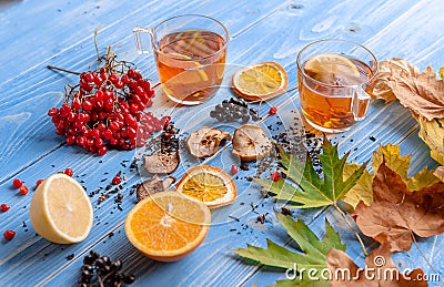 Girl`s hands clutching a mug of hot tea. autumn conception. home Stock Photo