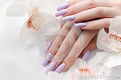Girl`s hands with delicate purple manicure and orchid flowers Stock Photo