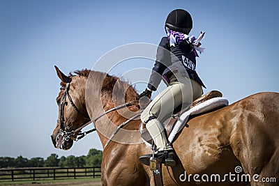 Girl showing chestnut gelding Stock Photo