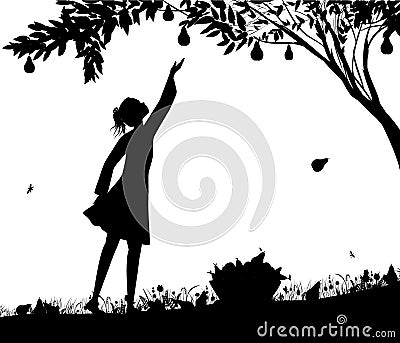 Girl silhoutte harvest the pear,fruit harvest scene, shadows black and white, bucket full of pears on the grass, nature Vector Illustration