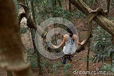 The girl sits on a huge liana tree branch in the jungle Stock Photo