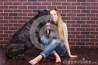 Girl sitting near brick wall next to the dog Cane Corso Stock Photo