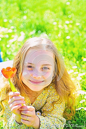 Girl on smiling face holds red tulip flower, enjoy aroma. Youth and carefree concept. Girl lying on grass, grassplot on Stock Photo