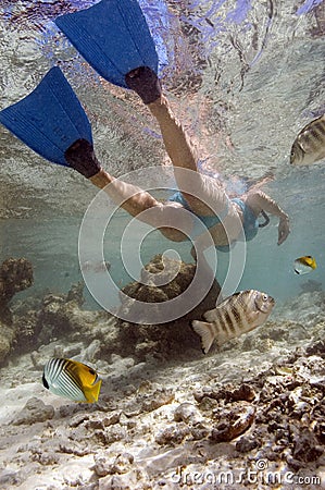 Girl snorkelling in a tropical lagoon - Tahiti Stock Photo