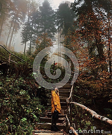 A girl stands on the stairs in the coniferous forest. Stock Photo