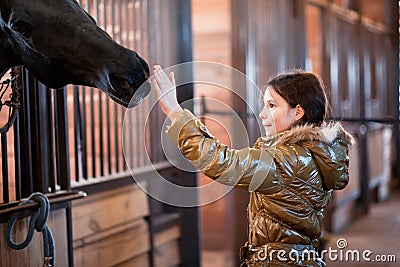 Girl stroking horse Stock Photo