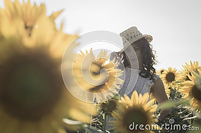 Girl at sunflowers field Stock Photo