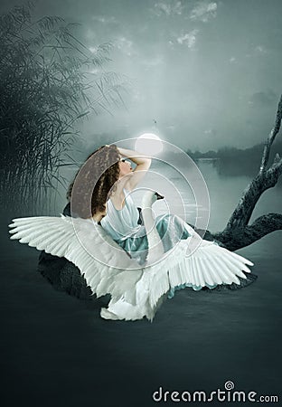 The girl and the swan Stock Photo