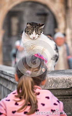 Girl teasing a cat Stock Photo