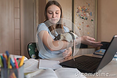 Girl teenager 12-15 years old, plays with rat, mouse, home laptop lessons. E-education distance learning Internet and Stock Photo