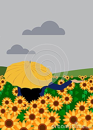 A girl is testing a sunflower field under her umbrella, whether or not there is rain. Stock Photo