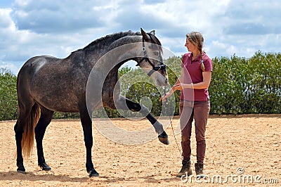 Girl training horse Stock Photo