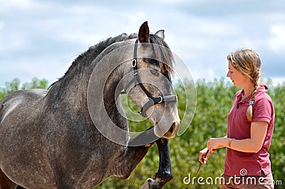 Girl training horse Stock Photo