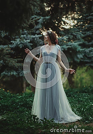 The girl in transparent dress Stock Photo