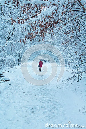 Girl with umbrella in a winter park Stock Photo