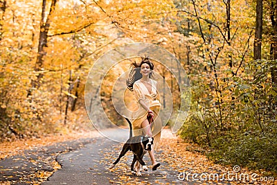 A girl walking with her dog in colorful autumn forest. Submissiveness. Best friends. Woman with dog walking in the park Stock Photo