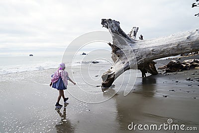 A girl walking on the ocean, Rialto Beach Olympic National Washington Editorial Stock Photo