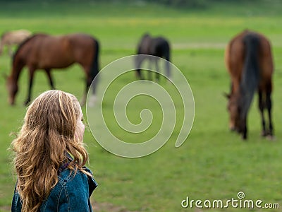 Girl watching horses Stock Photo