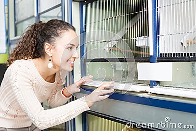 Girl watching singing birds in petshop Stock Photo