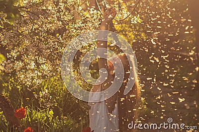 Girl in white dress sitting among flowers and fluff near tulips in sunset, dandelions and cherry flowers Stock Photo