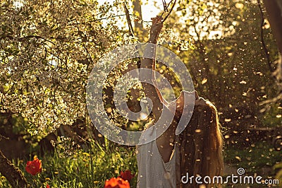 Girl in white dress sitting among flowers and fluff with threw back her head near tulips in sunset, dandelions and cherry flowers Stock Photo