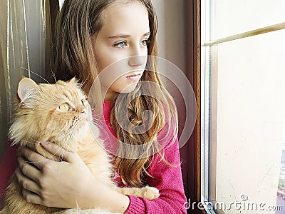 Girl window with a red cat home, fur, friendship Stock Photo