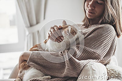 Girl in winter sweater sitting with cat on armchair Stock Photo