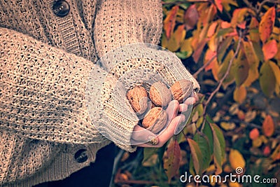 Girl with woolen sweater holding wallnuts in her hands Stock Photo