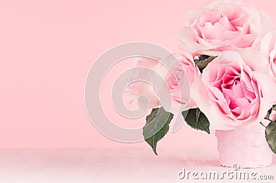 Girlish gentle flowers background - exquisite pink roses on white wood board, copy space. Stock Photo