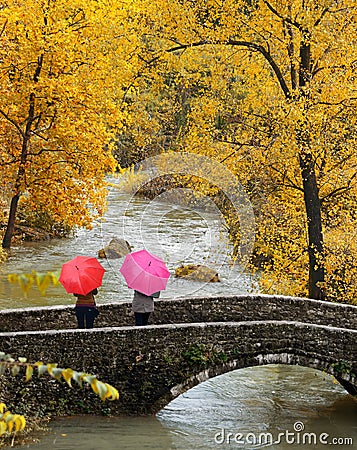 Girls, colorful umbrellas in autumn park. Stock Photo