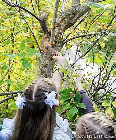 Girls feeds a little squirrel Stock Photo