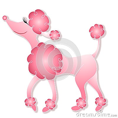 Girly Pink Poodle Walking Cartoon Illustration